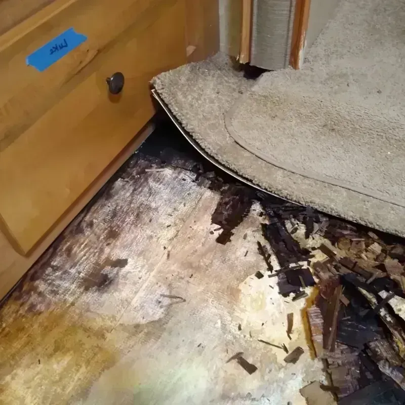 Wood Floor Water Damage in Pomeroy, OH